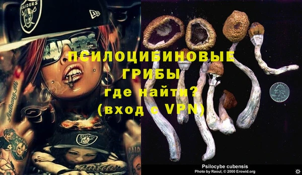 индика Заволжск