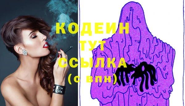 твердый Заводоуковск