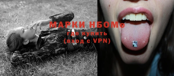индика Заволжск