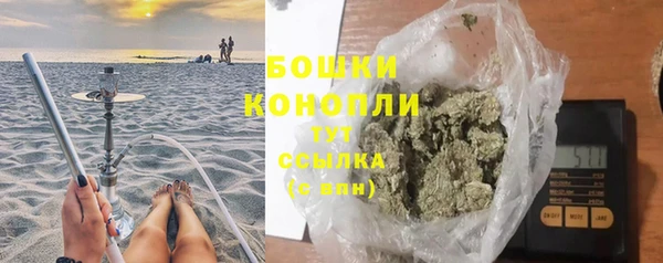 твердый Заводоуковск