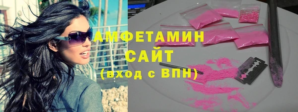 индика Заволжск